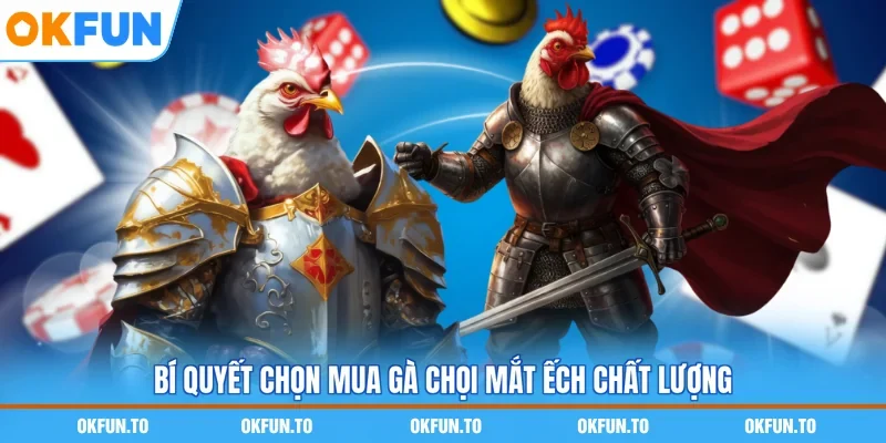 Bí quyết chọn mua gà chọi mắt ếch chất lượng