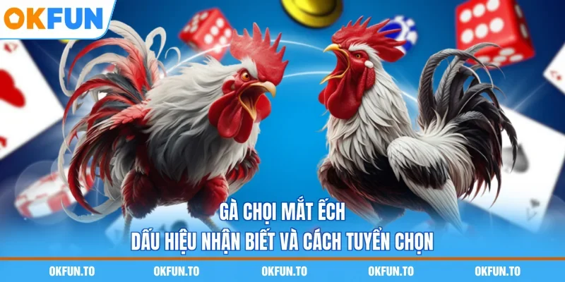Gà Chọi Mắt Ếch - Dấu Hiệu Nhận Biết Và Cách Tuyển Chọn