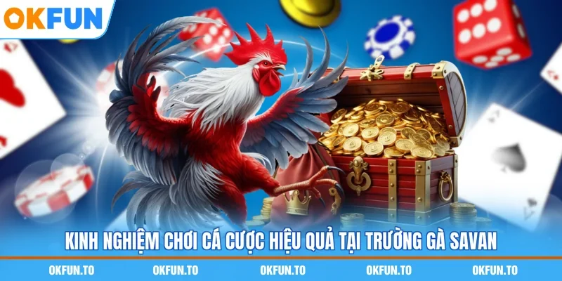 Kinh nghiệm chơi cá cược hiệu quả tại trường gà Savan