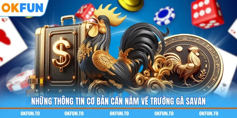 Những thông tin cơ bản cần nắm về trường gà Savan