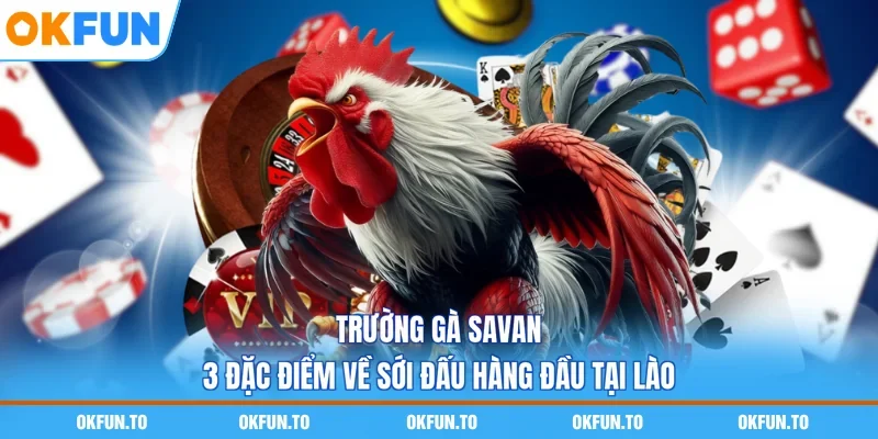Trường Gà Savan - 3 Đặc Điểm Về Sới Đấu Hàng Đầu Tại Lào