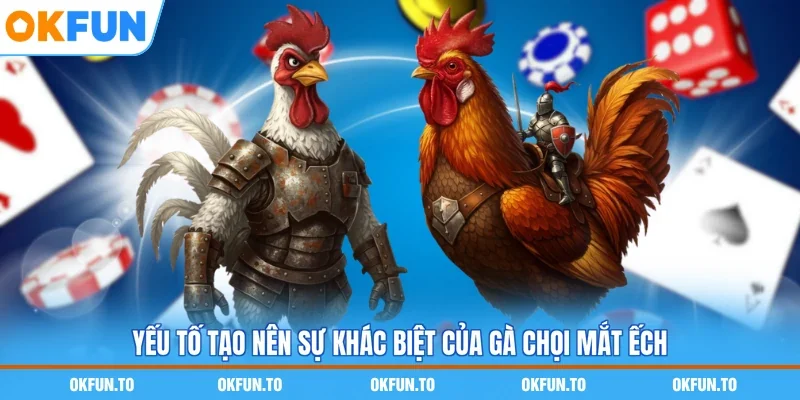 Yếu tố tạo nên sự khác biệt của gà chọi mắt ếch 